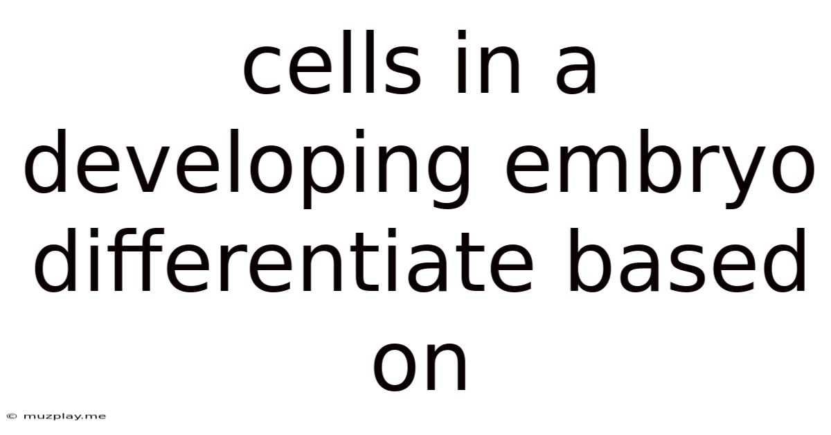 Cells In A Developing Embryo Differentiate Based On