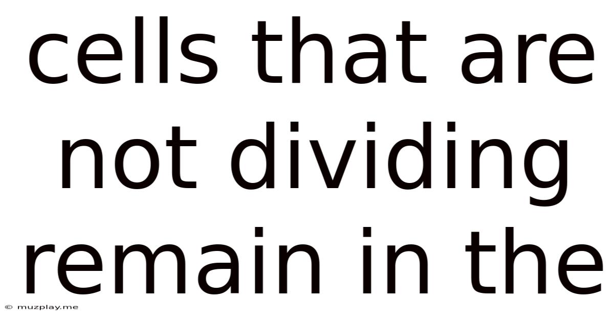 Cells That Are Not Dividing Remain In The