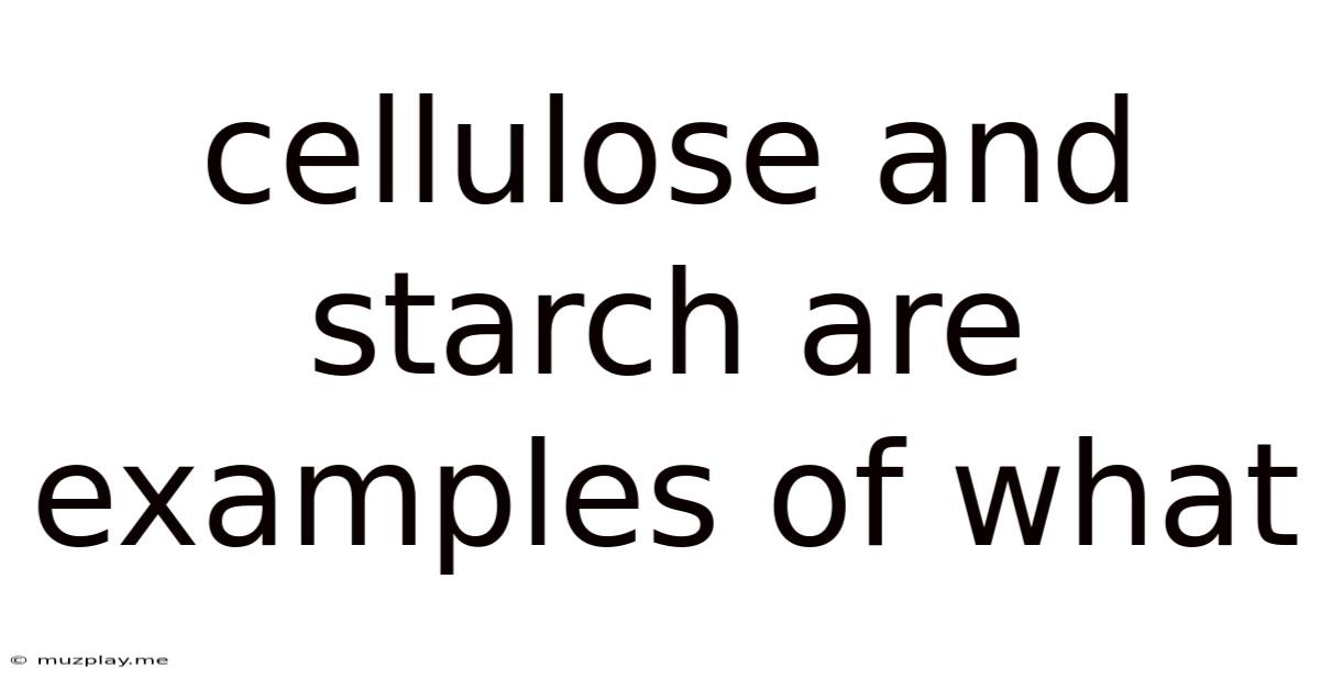Cellulose And Starch Are Examples Of What