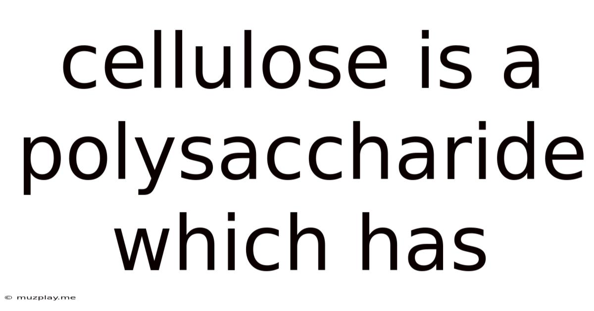 Cellulose Is A Polysaccharide Which Has