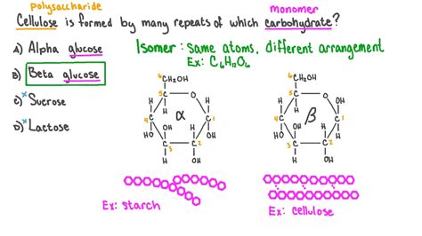 Cellulose Is Composed Of Monomers Of