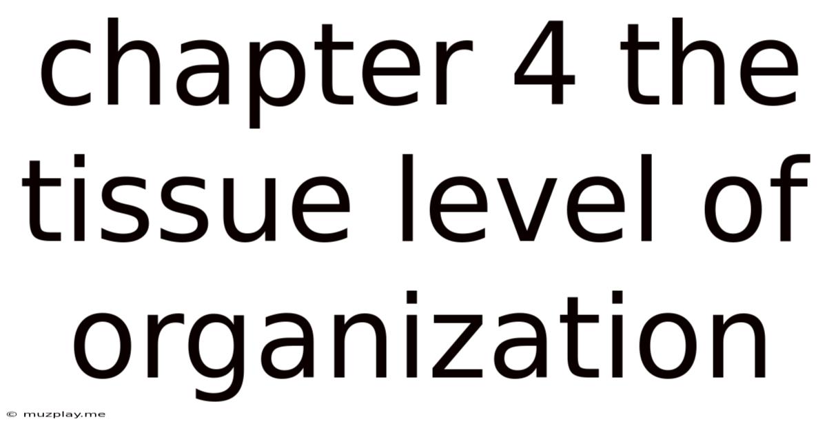Chapter 4 The Tissue Level Of Organization