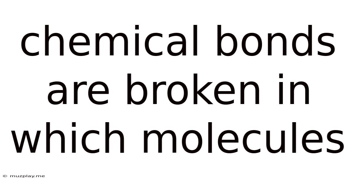 Chemical Bonds Are Broken In Which Molecules