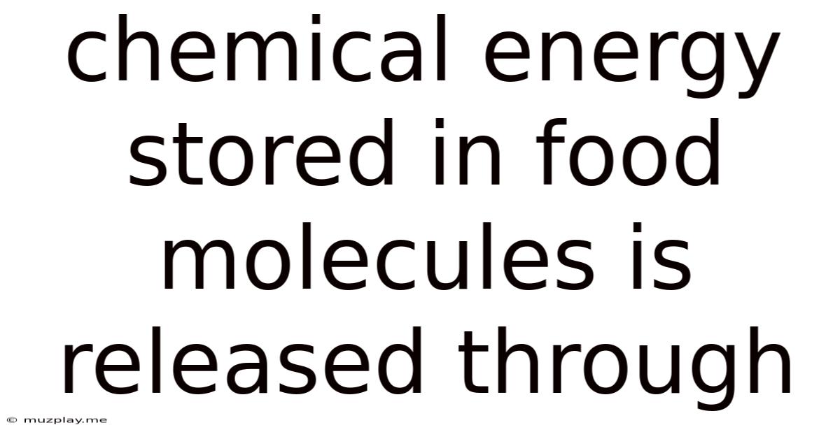 Chemical Energy Stored In Food Molecules Is Released Through