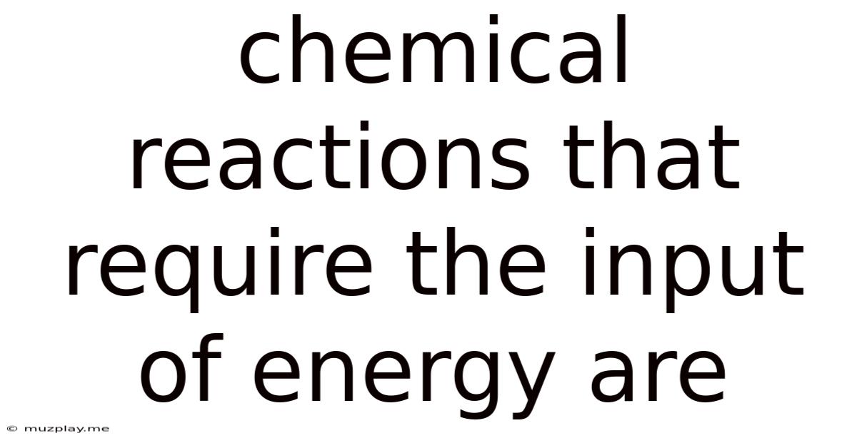 Chemical Reactions That Require The Input Of Energy Are