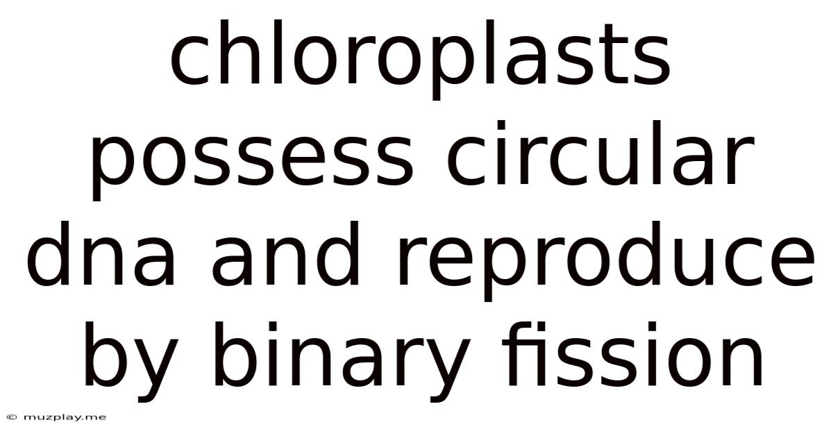 Chloroplasts Possess Circular Dna And Reproduce By Binary Fission