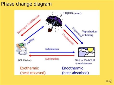 Classify The Phase Changes As Endothermic Or Exothermic