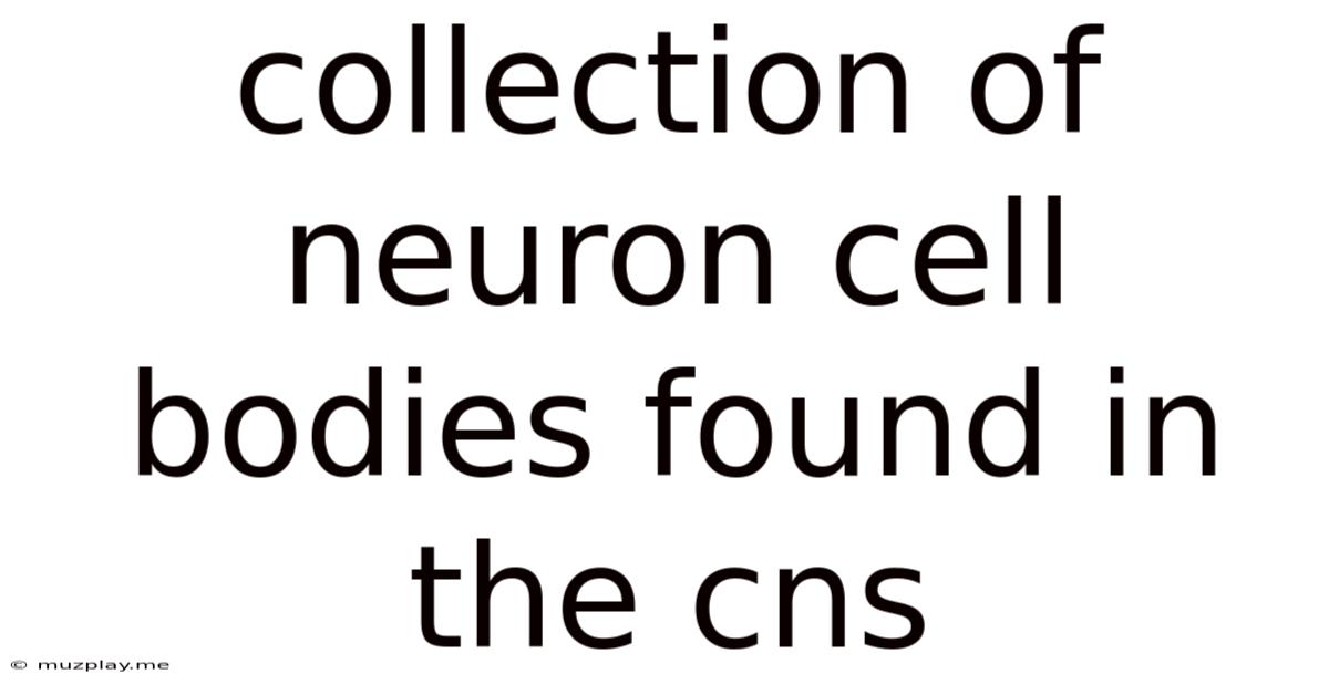 Collection Of Neuron Cell Bodies Found In The Cns