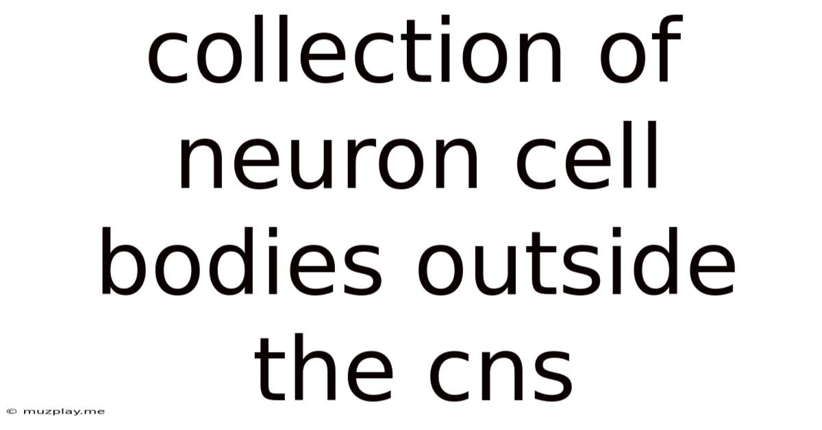 Collection Of Neuron Cell Bodies Outside The Cns