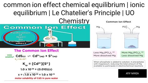 Common Ion Effect Le Chatelier Principle