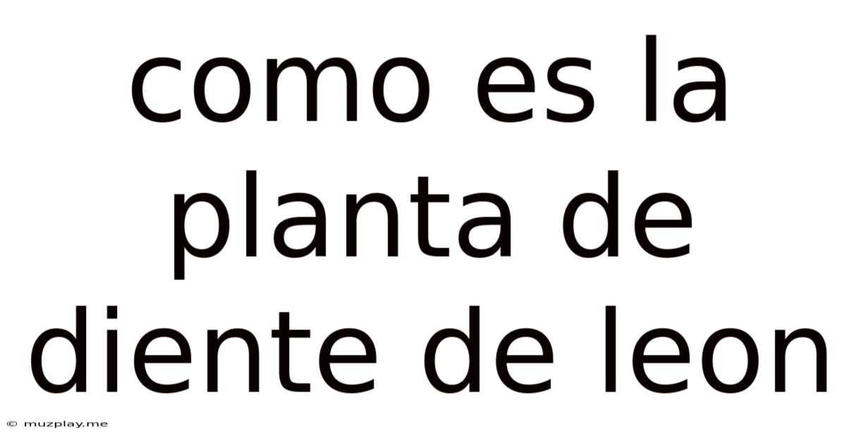 Como Es La Planta De Diente De Leon