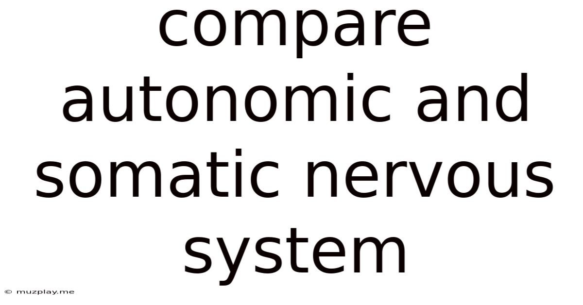 Compare Autonomic And Somatic Nervous System