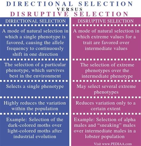 Compare Directional Selection And Disruptive Selection