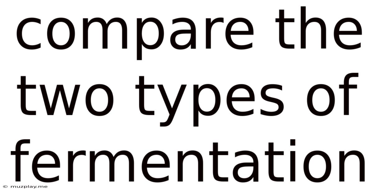 Compare The Two Types Of Fermentation