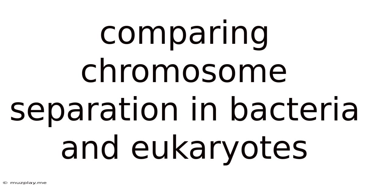 Comparing Chromosome Separation In Bacteria And Eukaryotes