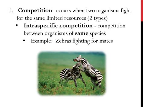 Competition Between Two Species Occurs When