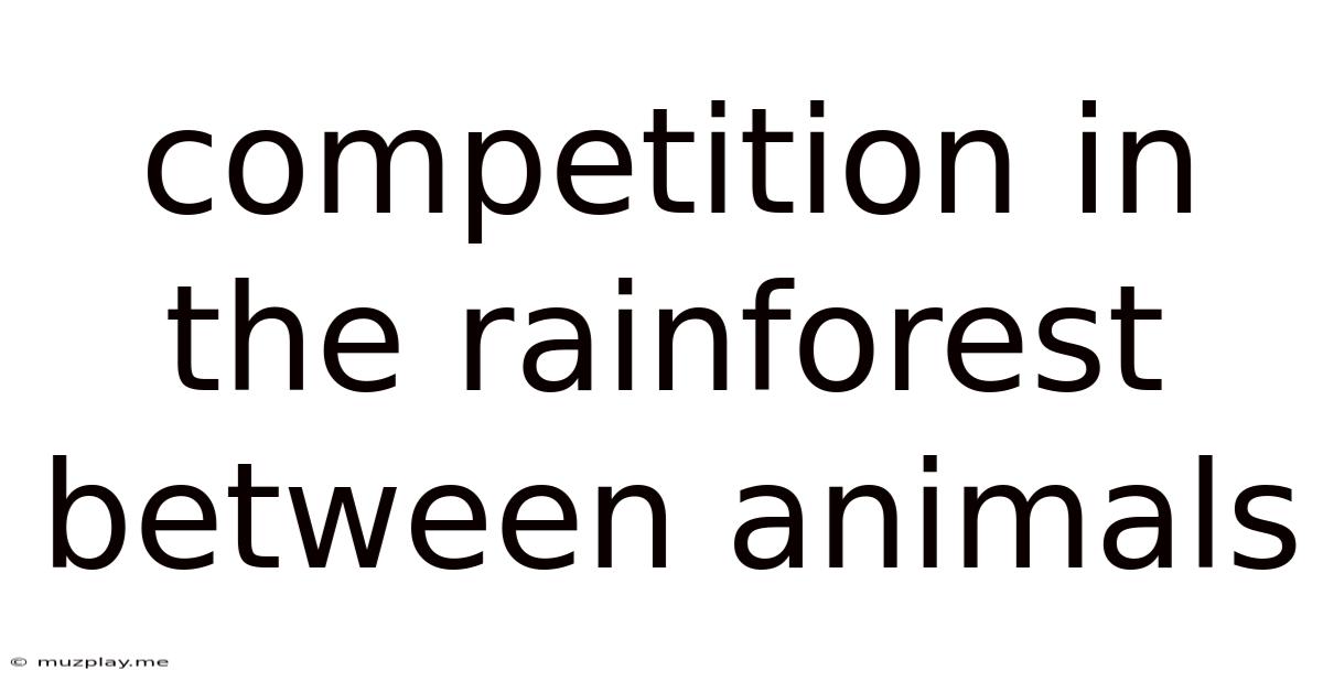 Competition In The Rainforest Between Animals