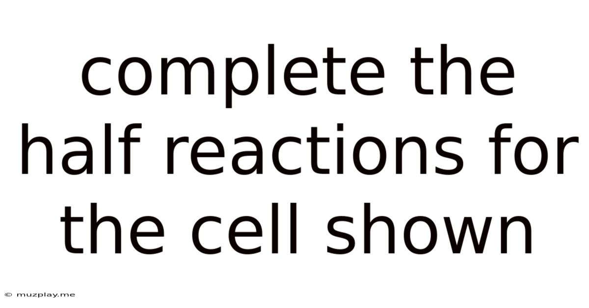 Complete The Half Reactions For The Cell Shown
