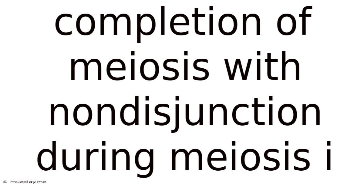 Completion Of Meiosis With Nondisjunction During Meiosis I