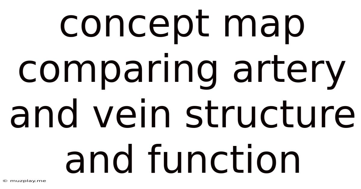Concept Map Comparing Artery And Vein Structure And Function