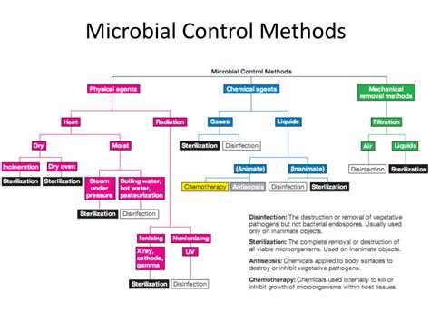 Control Of Microorganisms By Chemical Methods