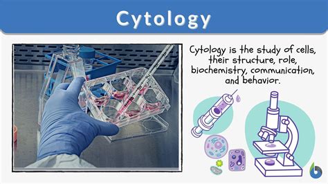 Cytology Is A Subdivision Of Gross Anatomy