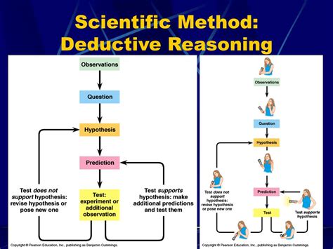 Deductive Reasoning Is Used In The Scientific Method To