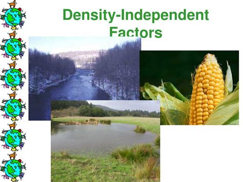 Density Independent Population Control Factors Cause Mortality