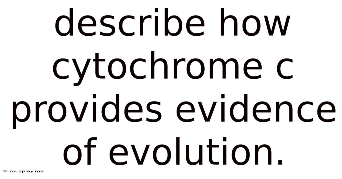 Describe How Cytochrome C Provides Evidence Of Evolution.