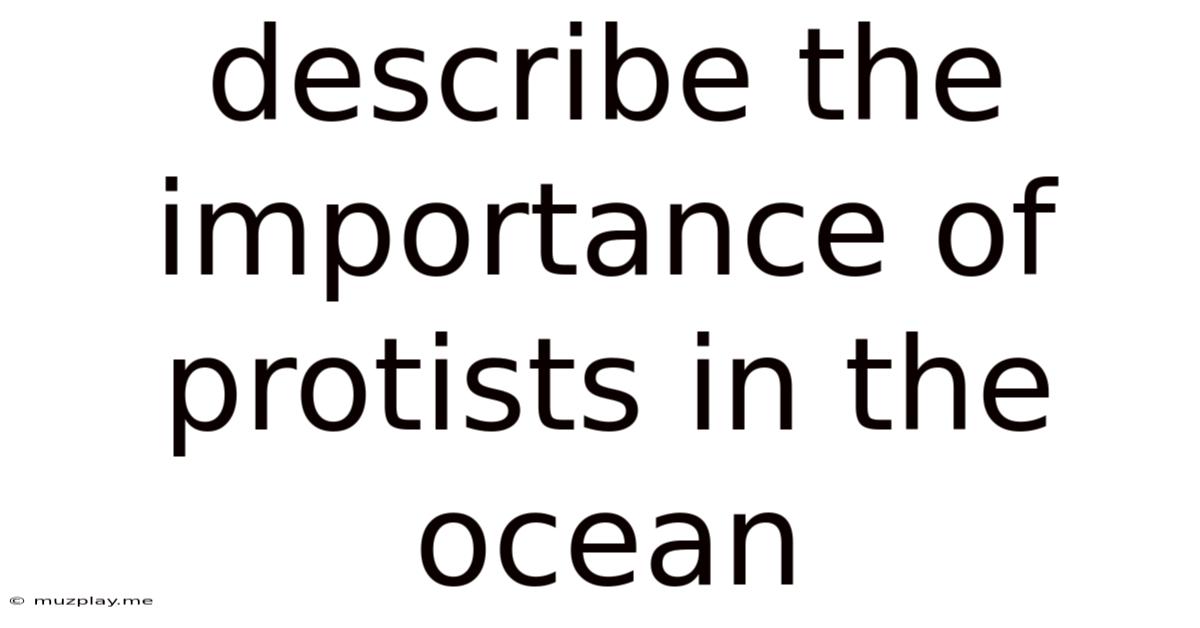Describe The Importance Of Protists In The Ocean