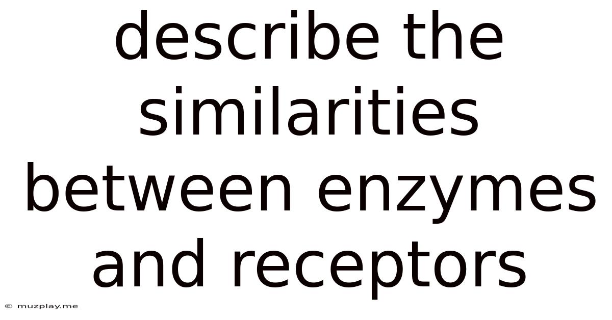 Describe The Similarities Between Enzymes And Receptors