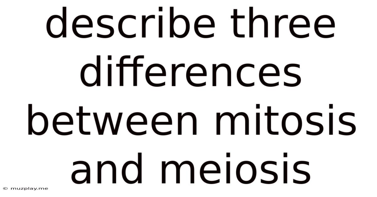 Describe Three Differences Between Mitosis And Meiosis