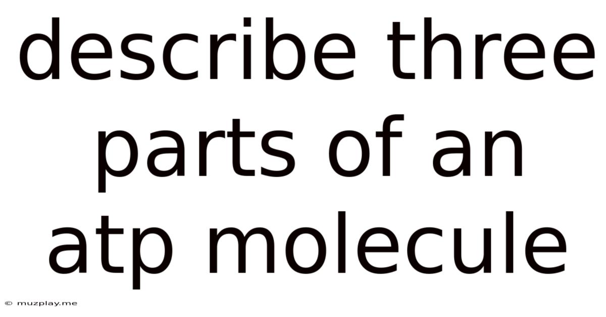 Describe Three Parts Of An Atp Molecule