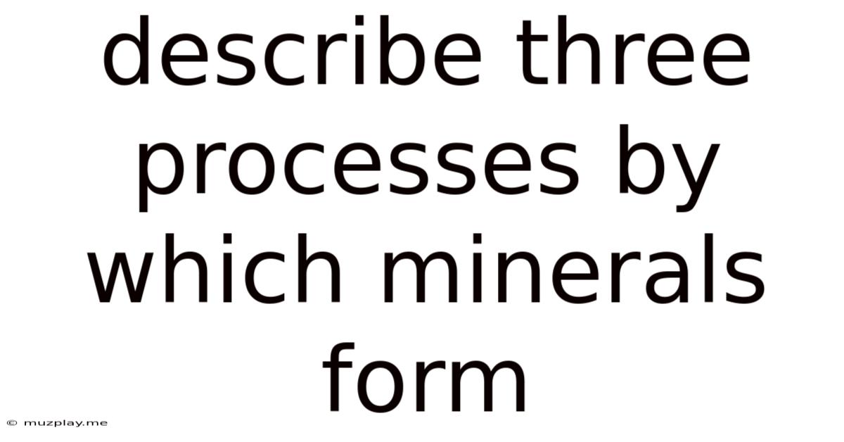 Describe Three Processes By Which Minerals Form