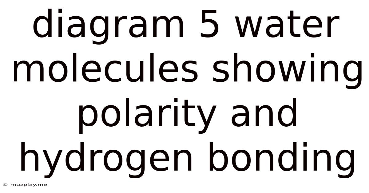 Diagram 5 Water Molecules Showing Polarity And Hydrogen Bonding