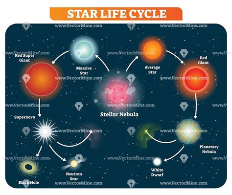 Diagram Of A Star's Life Cycle