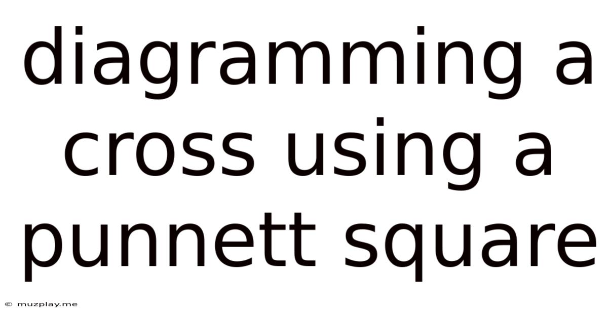 Diagramming A Cross Using A Punnett Square