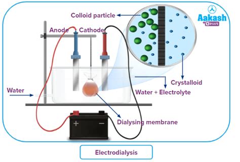 Dialysis Can Be Used To Separate Solutions From Colloids.