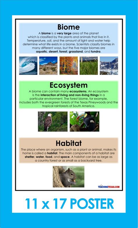 Difference Between A Biome And A Habitat