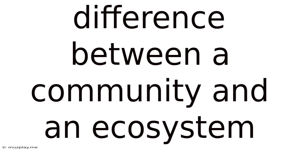 Difference Between A Community And An Ecosystem