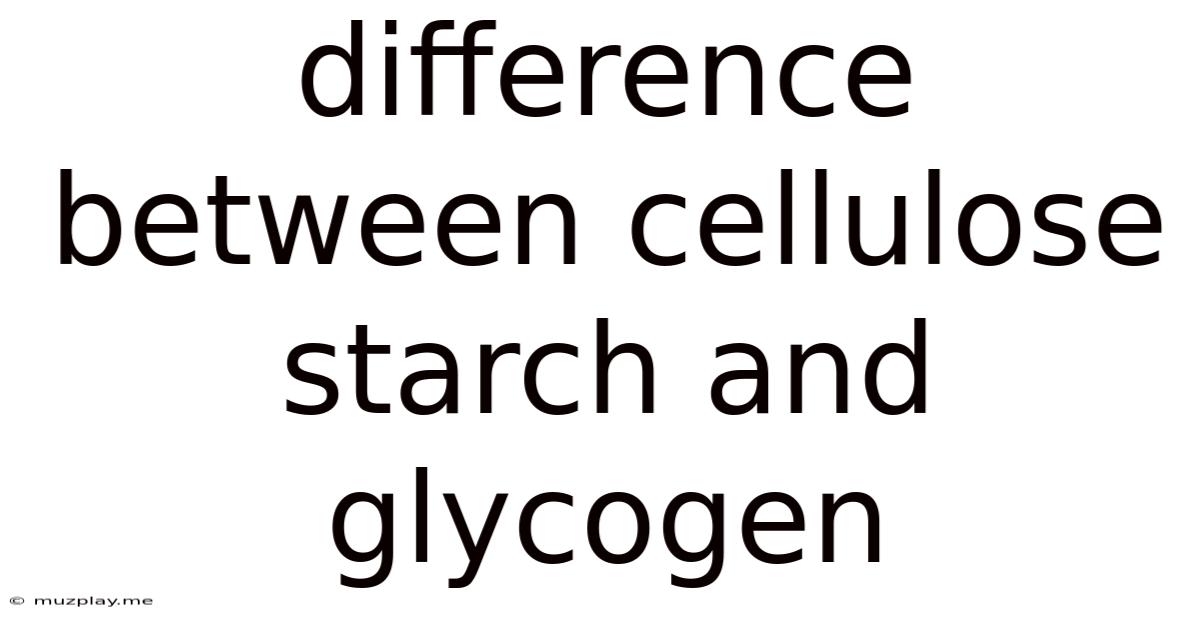 Difference Between Cellulose Starch And Glycogen