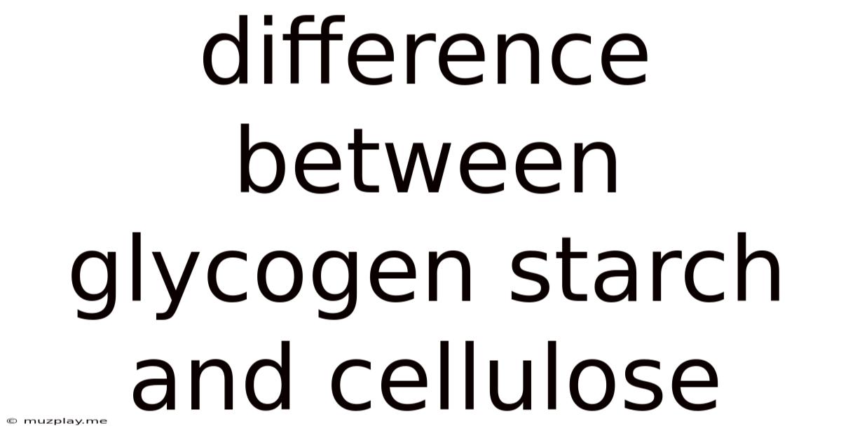 Difference Between Glycogen Starch And Cellulose