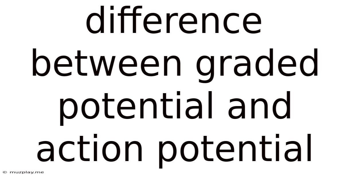Difference Between Graded Potential And Action Potential