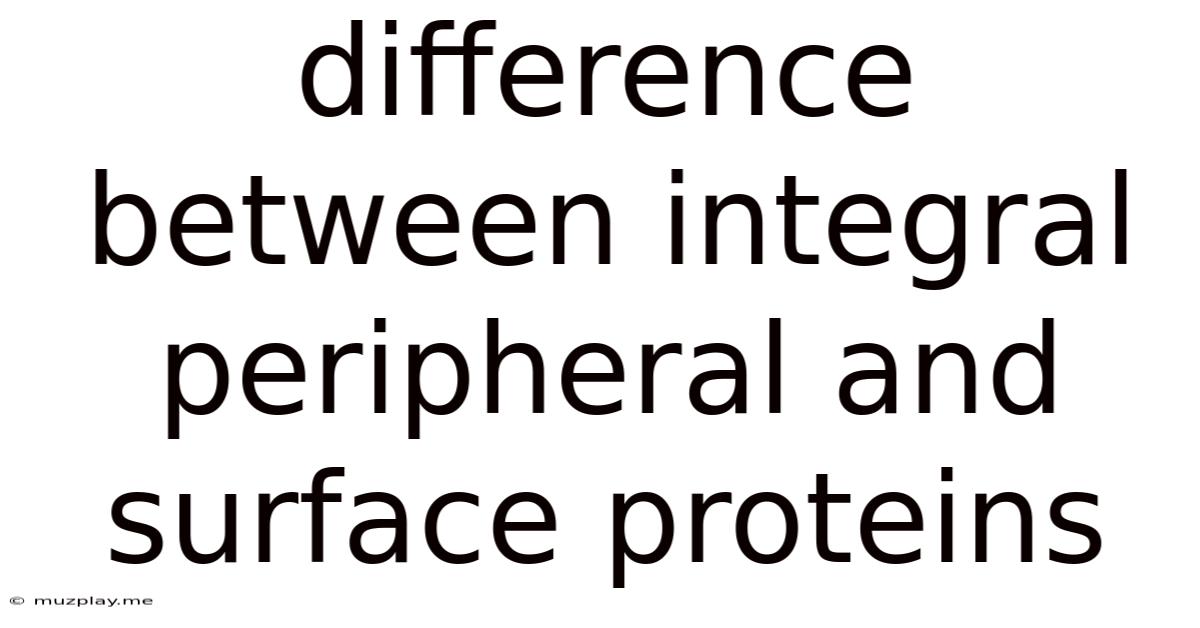 Difference Between Integral Peripheral And Surface Proteins