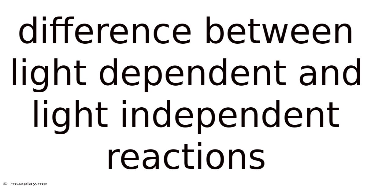 Difference Between Light Dependent And Light Independent Reactions