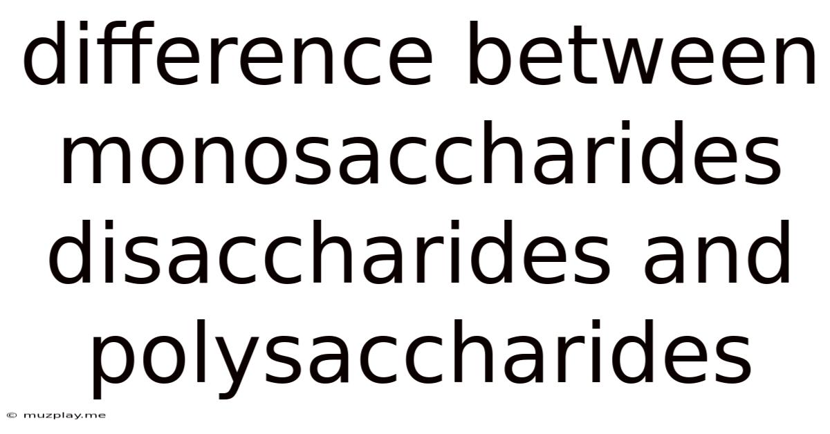 Difference Between Monosaccharides Disaccharides And Polysaccharides