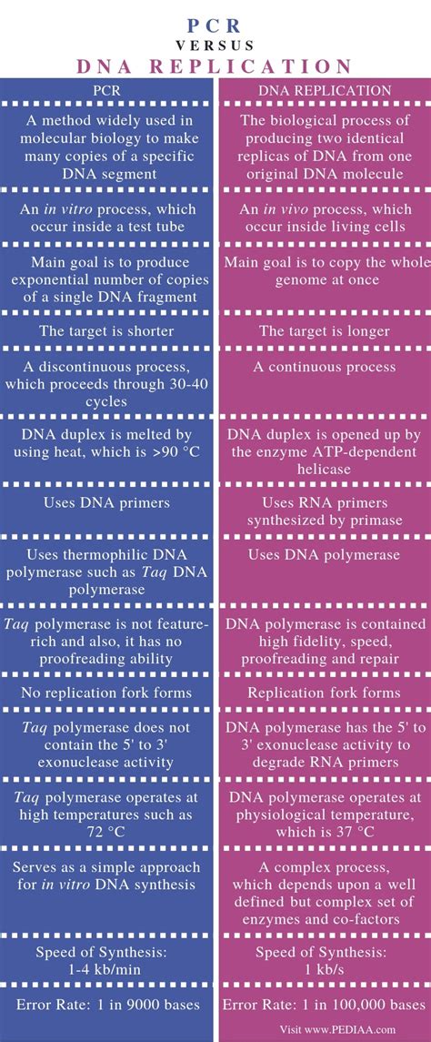 Difference Between Pcr And Dna Replication