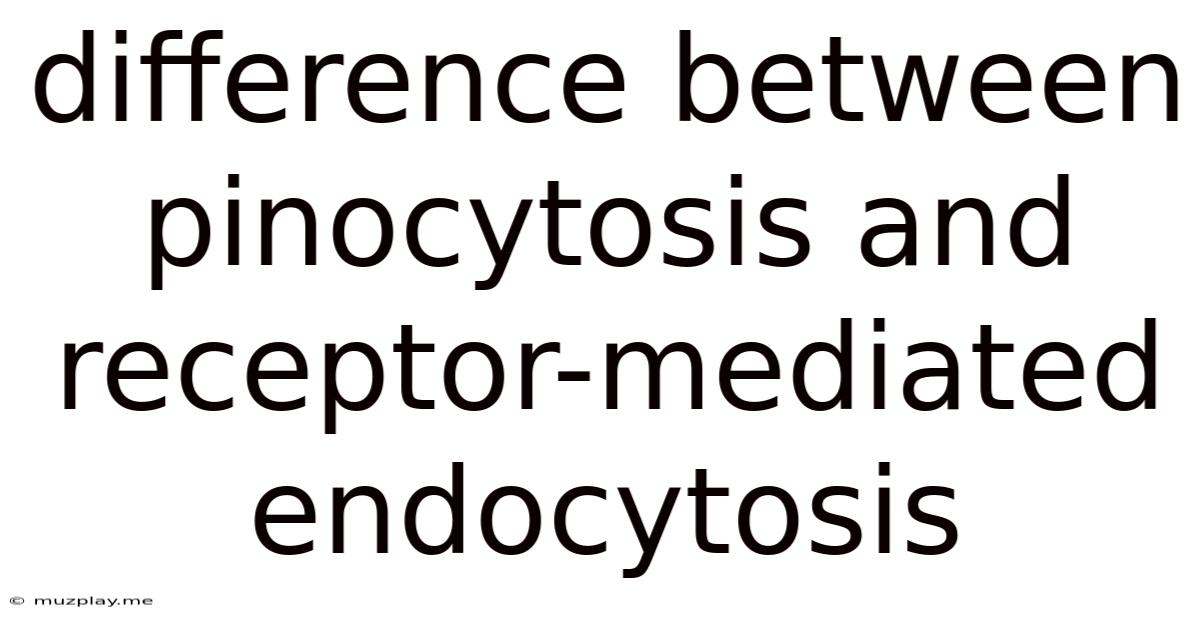 Difference Between Pinocytosis And Receptor-mediated Endocytosis