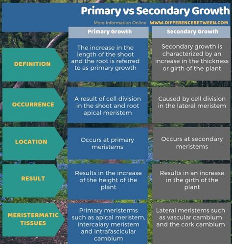 Difference Between Primary Growth And Secondary Growth