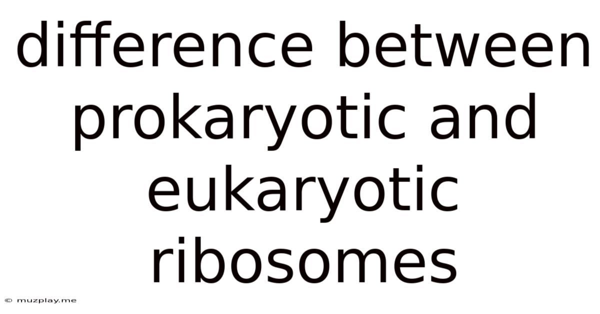 Difference Between Prokaryotic And Eukaryotic Ribosomes